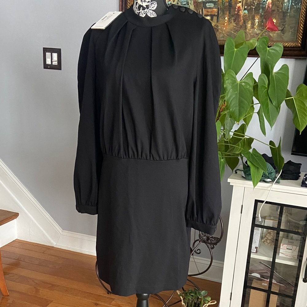 Chic Long Sleeve Black Dress